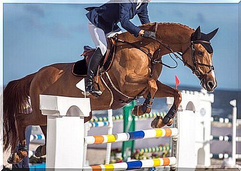 10 equestrian sports you must try