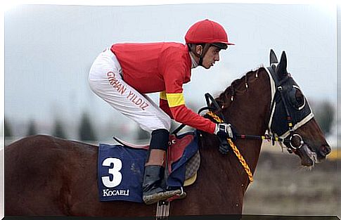 Jockey during a speed race on horseback