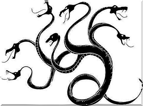 Hydra sea monsters: truth or legend