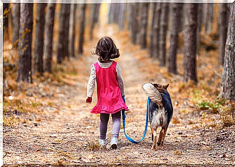 A dog protects a girl lost in a forest all night long