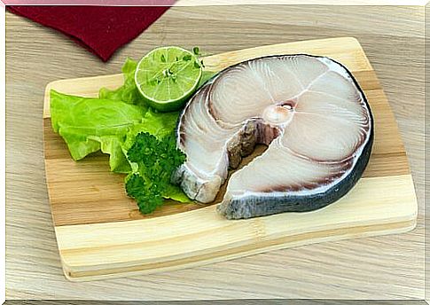 Raw shark fillet