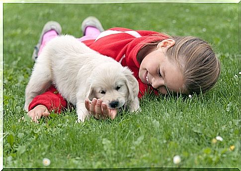 Children and puppies: teach them how to treat them