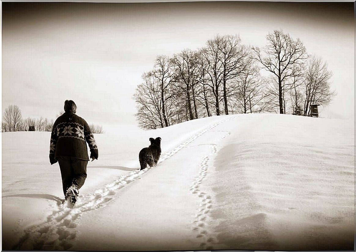 Walk the dog in the snow.