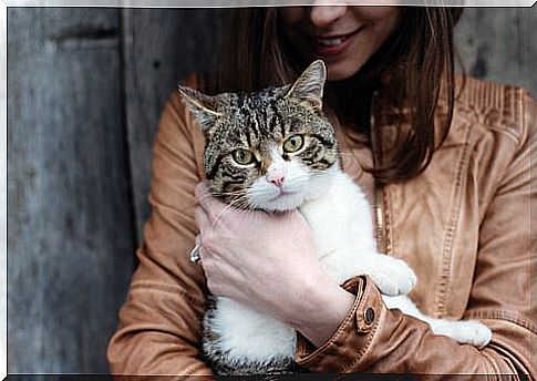 girl holds a cat in her arms