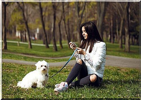 Dog with mistress on the lawn