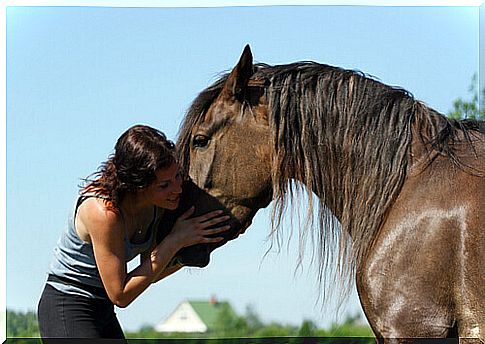 mistress caresses her horse