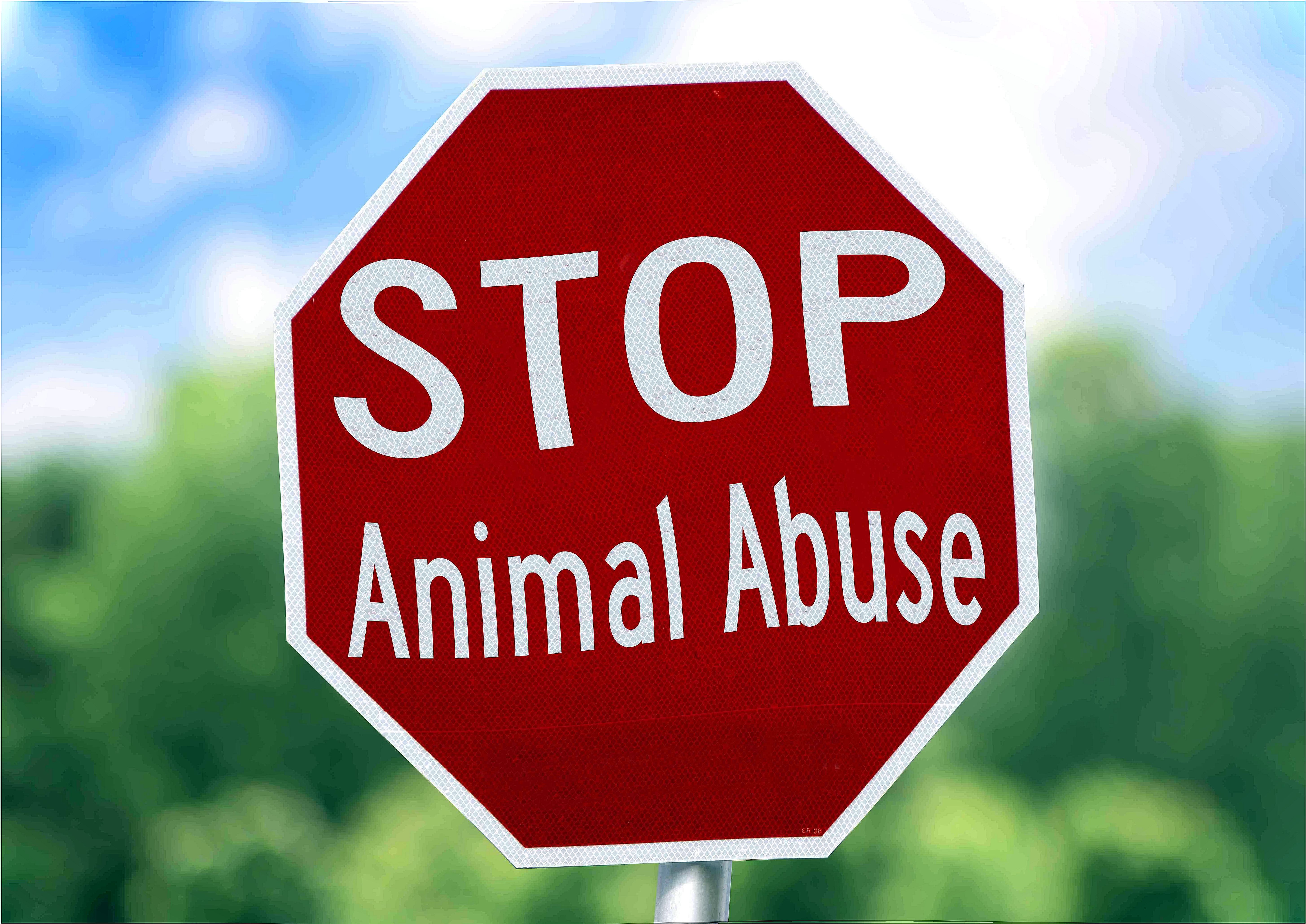 a cartel against animal abuse