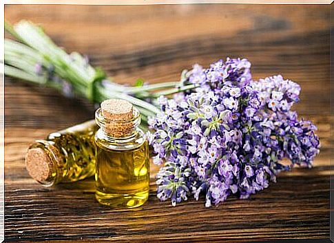 two bottles of lavender oil on a table