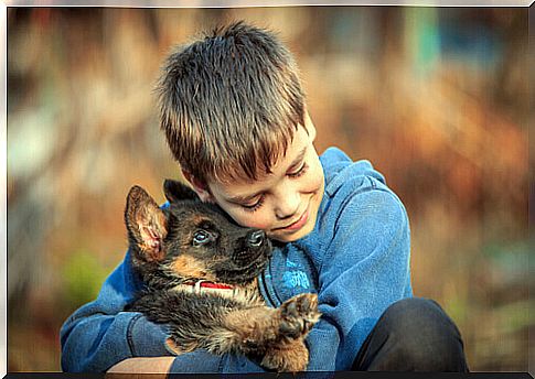 Child with deaf dog