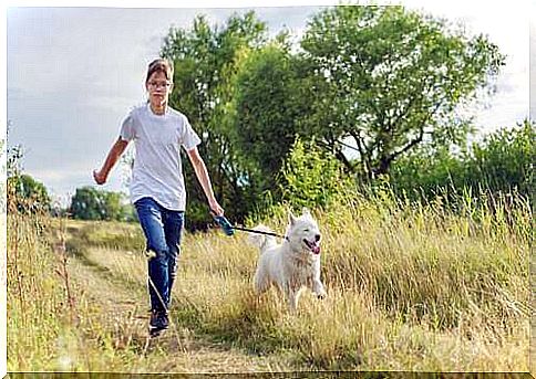 In Germany it will be mandatory to walk the dog twice a day