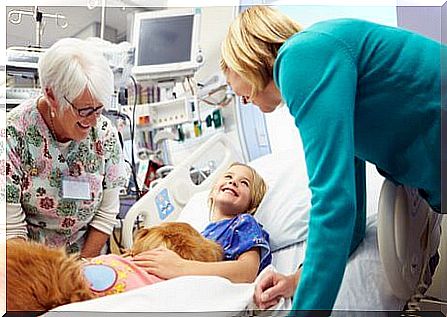 Dog in hospital with little girl 