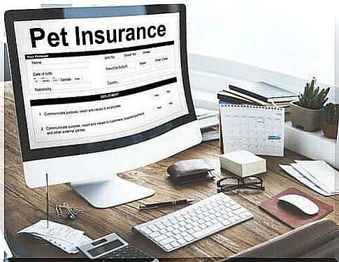 Pet insurance