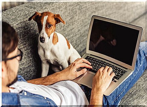 Master works with his dog next to him