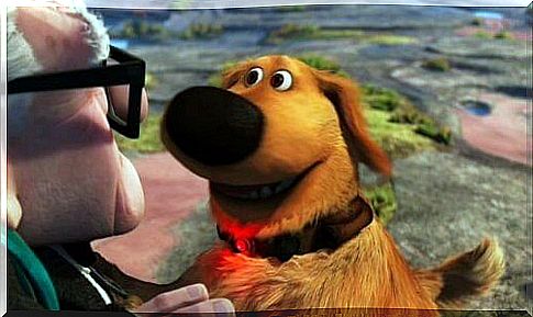 The famous dog Dug from the cartoon "Up" becomes real