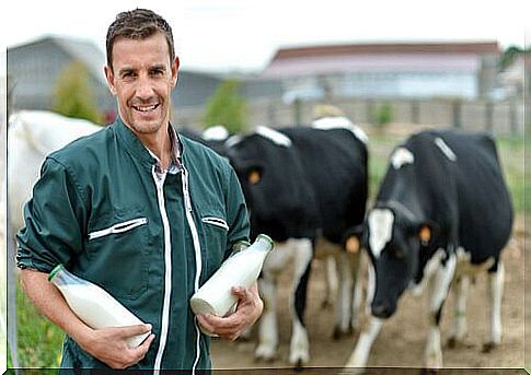 a producer with two flasks of milk in front of some cows