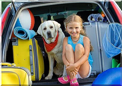 a little girl next to her labrador retriever in the trunk