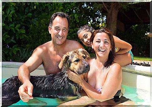 Tips for buying a dog pool