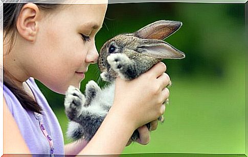 little girl with rabbit in hand